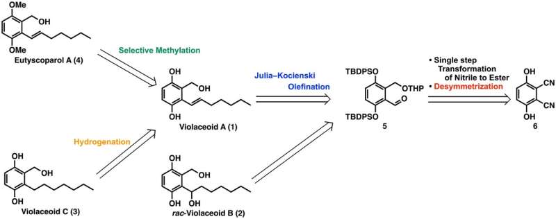 From fungi to pharmaceuticals: a milestone for the production of eutyscoparol A and violaceoid C