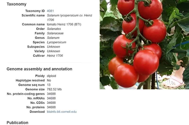 From genomes to gardens: Introducing the HortGenome Search Engine for horticultural crops