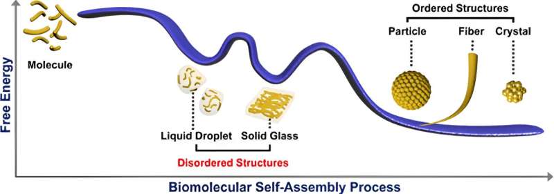 From ordered to disordered: Progress in multiscale self-assembly of peptides