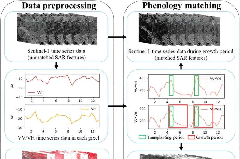 From plows to pixels: comprehensive rice mapping with satellite technology