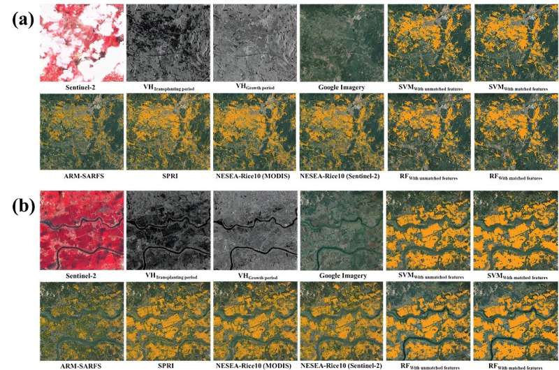 From plows to pixels: comprehensive rice mapping with satellite technology