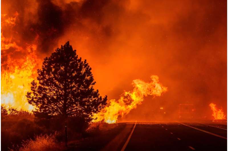 Fueled by a crushing heatwave, the so-called Park Fire -- the most intense wildfire to hit the state this summer -- has rapidly devoured nearly 240,000 acres (97,000 hectares)