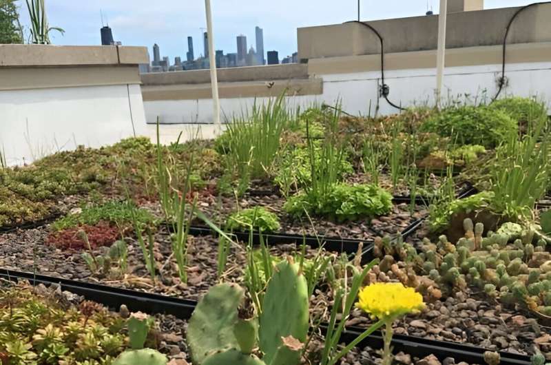 Fungal-rich soil may improve green roof sustainability