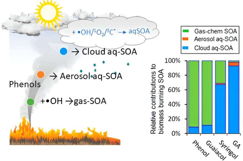Gases from burning biomass react within clouds, forming secondary organic aerosols