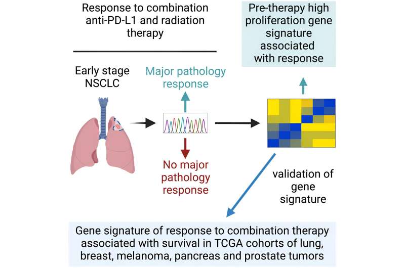 Genetic signature may predict response to immunotherapy for non-small cell lung cancer