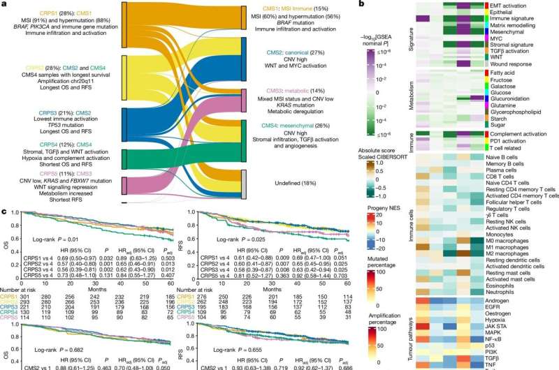 Genetic signatures provide prognostic information in colorectal cancer