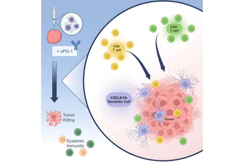 Genetically engineered dendritic cells enhance the power of immunotherapy against lung cancer