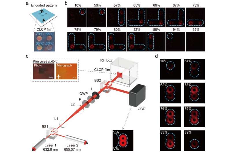 Geometric phase-encoded liquid crystal optical sensing