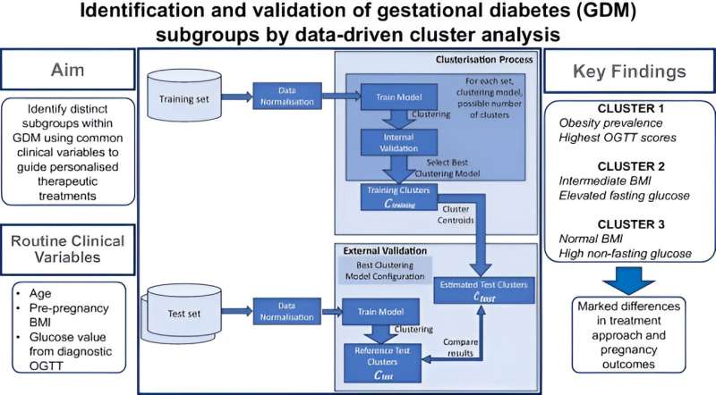 Gestational diabetes: Newly identified subgroups improve personalized therapy