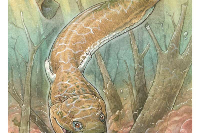 Giant salamander-like creature was a top predator in the ice age before the dinosaurs