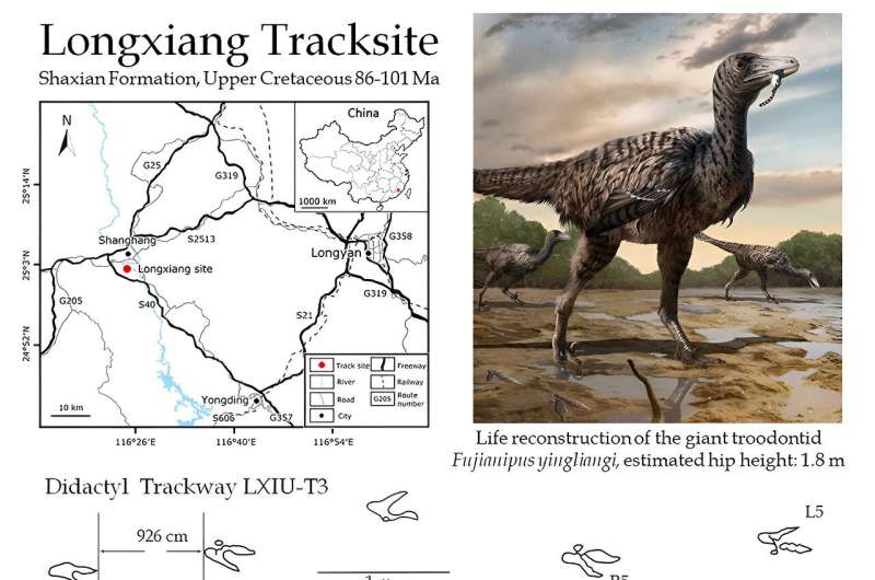 Gigantic Jurassic raptor footprints unearthed in China