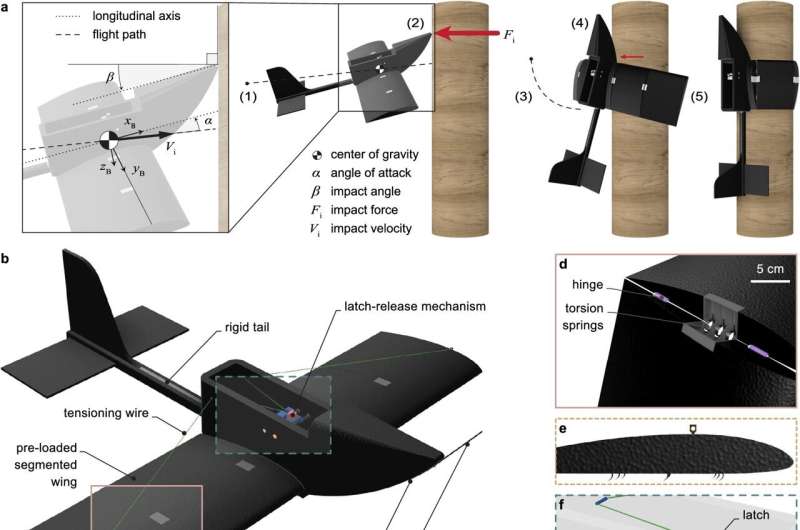 Giving drones wrap-and-grip wings to allow them to land on poles and tree limbs