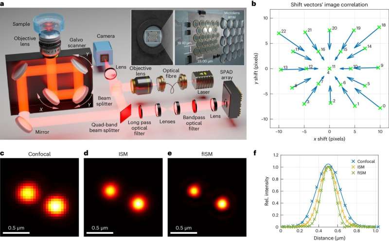 Glimpse into the nanoworld: Microscope reveals tiniest cell processes