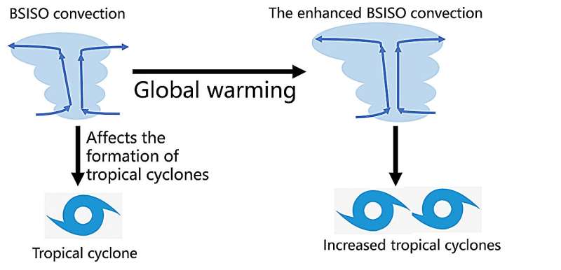 Global warming may intensify the modulation of tropical cyclone genesis by summer intraseasonal oscillation