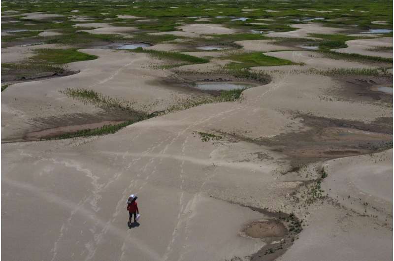 Global warming was primary cause of unprecedented Amazon drought, study finds