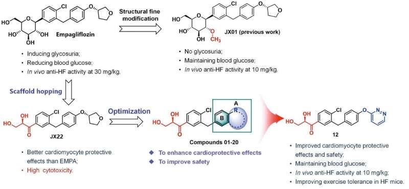 Glyceraldehyde derivatives inspired by empagliflozin as potential anti-heart failure agents independent of glucose-lowering effects