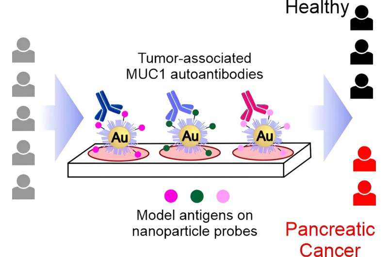 Glycopeptide probes detect pancreatic-tumor-associated antibodies in blood samples