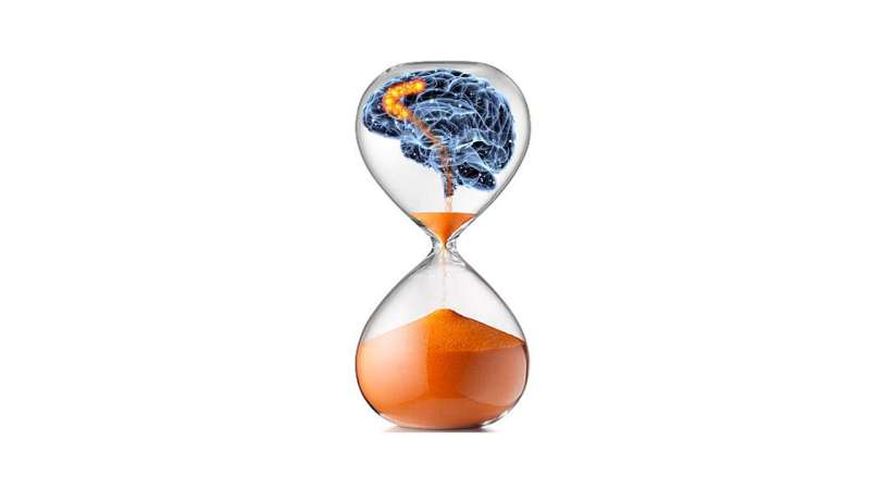 Good timing: UNLV study unravels how our brains track time