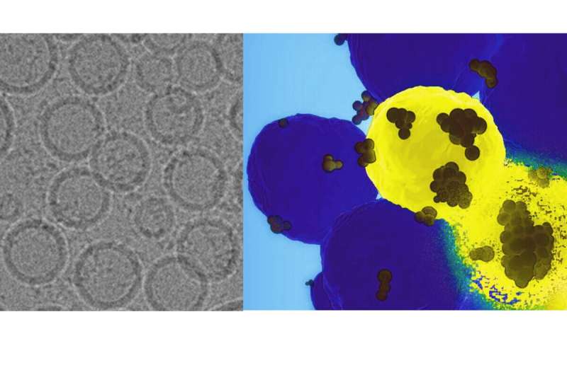 GPS nanoparticle platform precisely delivers therapeutic payload to cancer cells