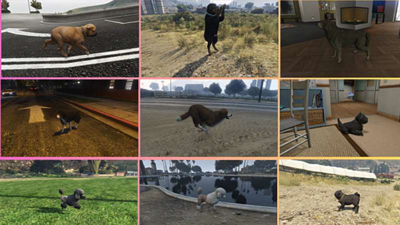 Grand Theft Auto and AI help team turn dog pics into 3D models