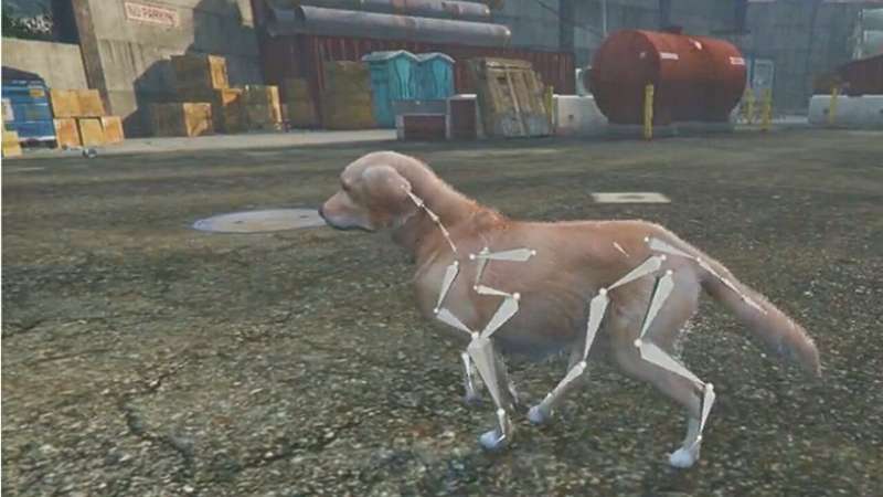 Grand Theft Auto and AI help team turn dog pics into 3D models