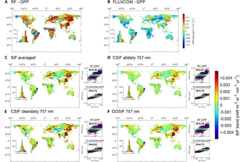 Grünes Licht für präzise Vegetationsforschung: Neue Auswertung globaler SIF-Datensätze