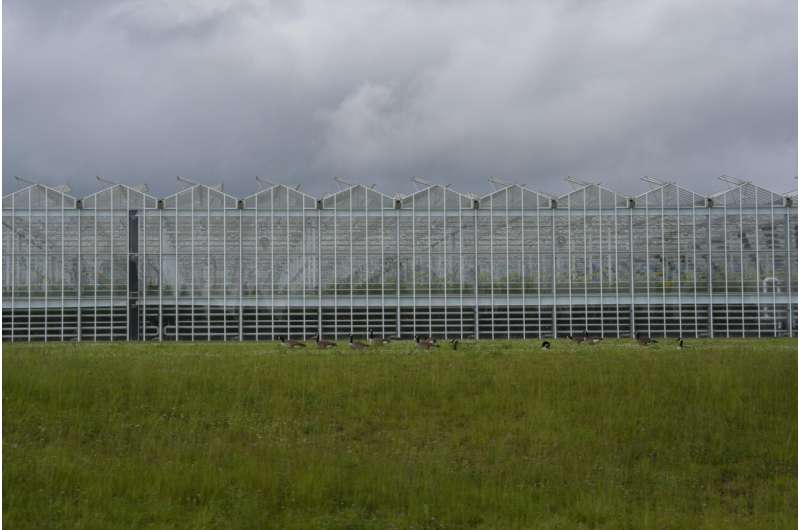 Greenhouses are becoming more popular, but there's little research on how to protect workers