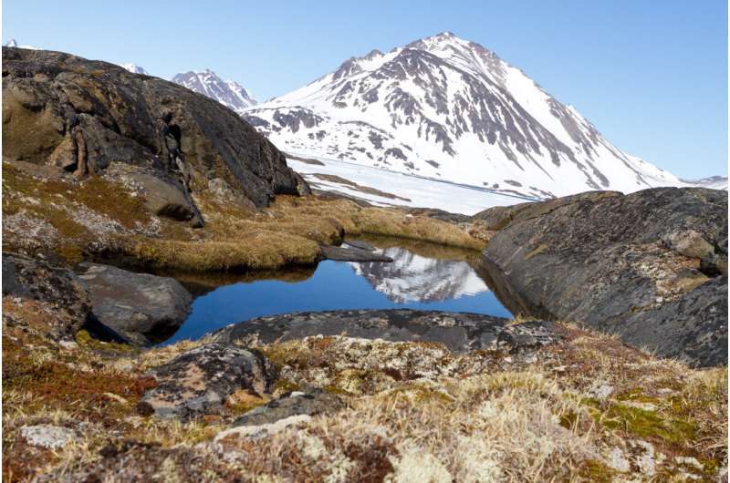 Fossilienfund in Grönland zeigt erhöhtes Risiko einer Meeresspiegelkatastrophe