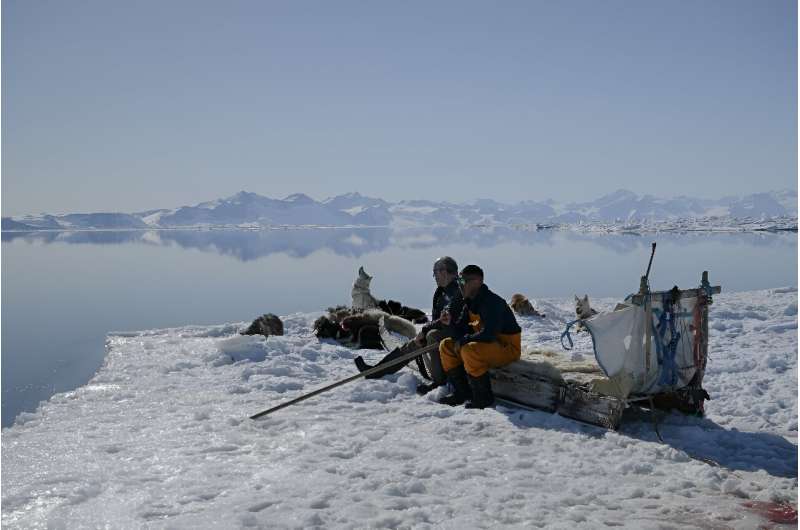 Greenland's greatest Inuit polar bear hunter Hjelmer Hammeken (L) and his young protege Martin Madsen out on the ice