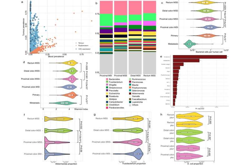 Groundbreaking study reveals previously unknown genetic causes of colorectal cancer