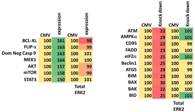 GZ17-6.02 kills PDX isolates of uveal melanoma