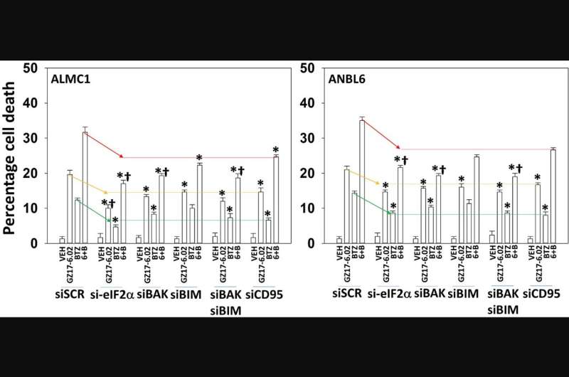 GZ17-6.02 with proteasome inhibitors kills multiple myeloma cells
