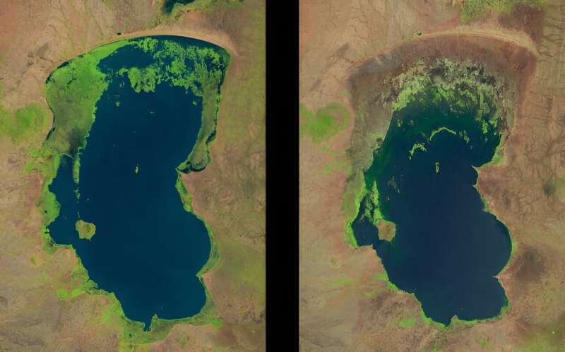 Half of world's lakes are less resilient to disturbance than they used to be
