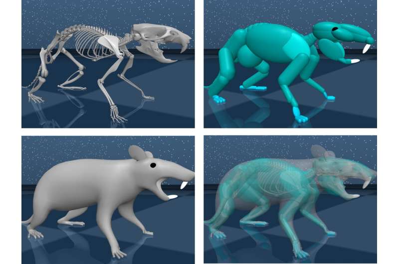 Harvard, Google DeepMind researchers create realistic virtual rodent