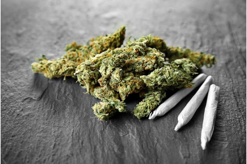 Heavy cannabis use linked to CVD mortality in women