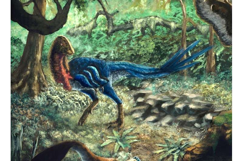 ‘Hell chicken’ species suggests dinosaurs weren’t sliding toward extinction before the fateful asteroid hit