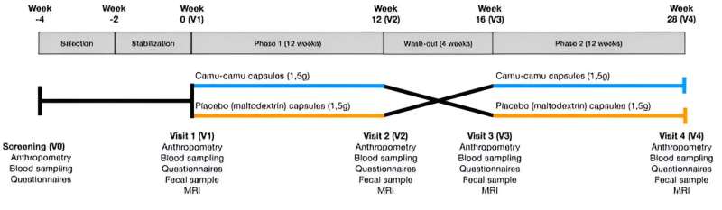 Hepatic disease: A camu-camu fruit extract to reduce liver fat