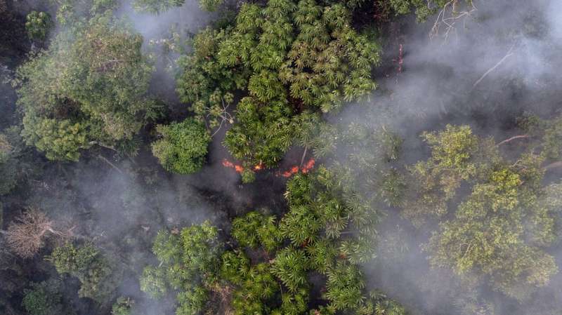 'Heroes in the fire'—scientists' film shows the reality of firefighting in the Amazon