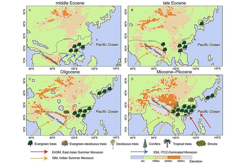 Heterogeneous occurrence of evergreen broad-leaved forests revealed by plant fossils East Asia