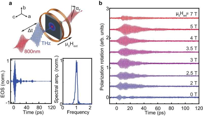 Hidden harmonies: Team discovers magnon–phonon Fermi resonance in an antiferromagnet