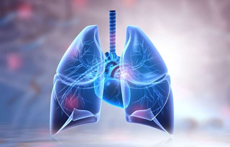 High-frequency jet ventilation seems safe for lung ablation