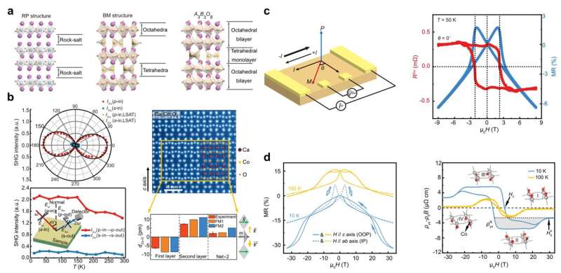 High magnetic field facilitates novel intrinsic ferromagnetic polar metals