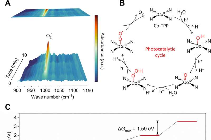 Hochleistungsfähige photokatalytische Wasseroxidation, realisiert durch ultradünne kovalente organische Gerüst-Nanoblätter