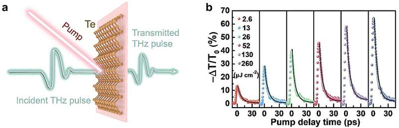 High-performance terahertz modulators induced by substrate field in Te-based all-2D heterojunctions