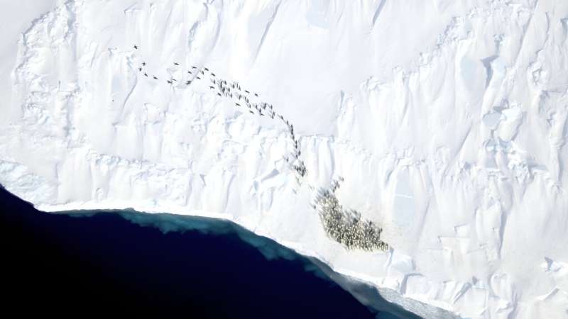 High-resolution imagery advances the ability to monitor decadal changes in emperor penguin populations