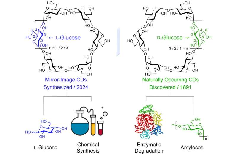HKU chemists develop a concise approach to access L-cyclodextrins, setting the stage to explore the mirror-image world of the century-old naturally occurring cyclodextrins