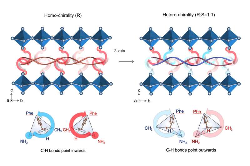 HKUST engineering researchers enhance perovskite solar cells durability with first-of-its-kind chiral-structured "springy" interface