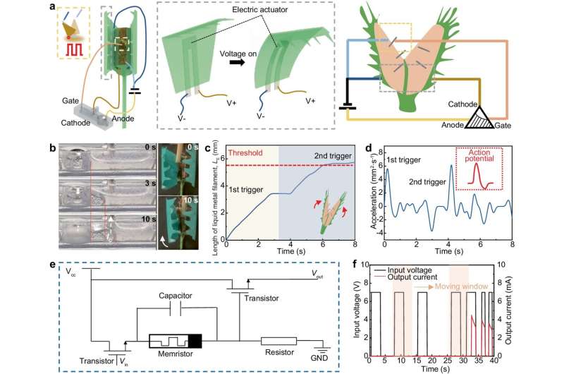 HKUST researcher developed liquid metal-based electronic logic device that mimics intelligent prey-capture mechanism of Venus flytrap