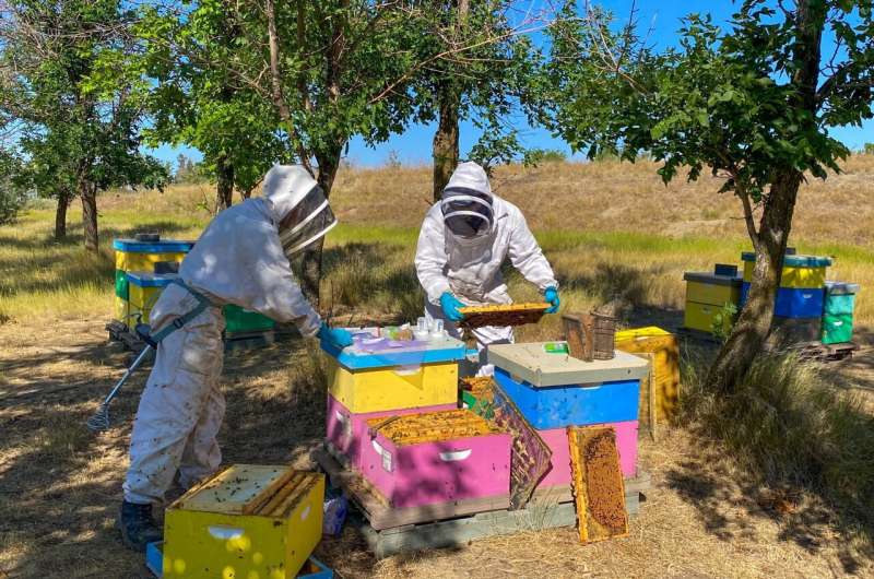 Honey bees experience multiple health stressors out-in-the-field