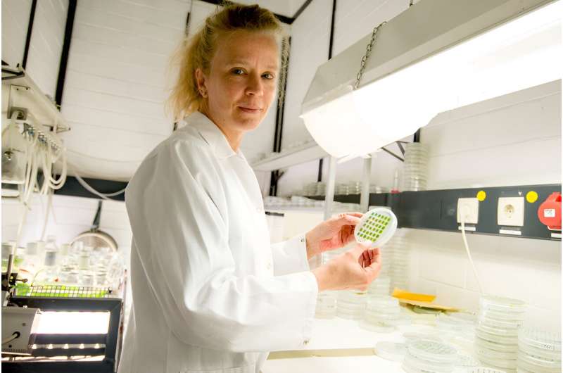 How a biocatalyst might boost the growth of microalgae